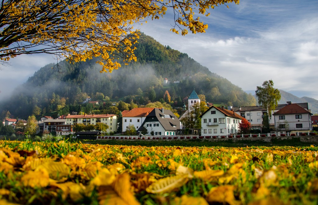 bilten volilna2018