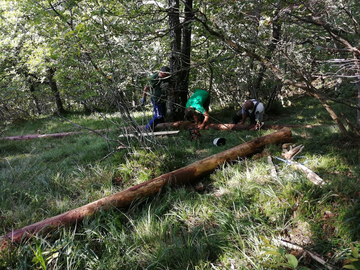 REČIŠKA KROŽNA OBNOVA 2019.12