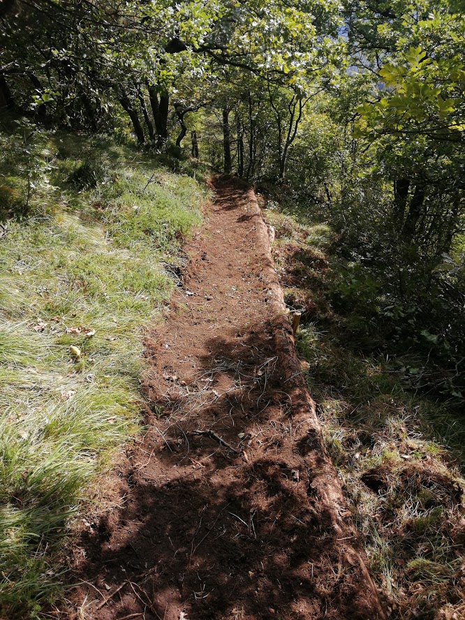 REČIŠKA KROŽNA OBNOVA 2019.16