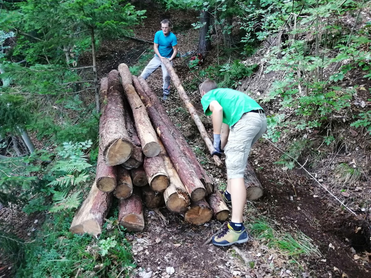 REČIŠKA KROŽNA OBNOVA 2019