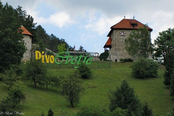 Pivo-cvetje101