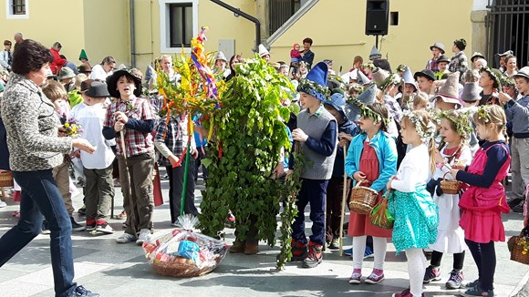 zeleni jurij 2016 2