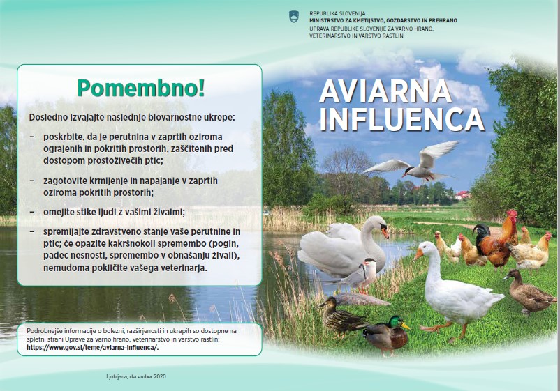 aviarna influenca